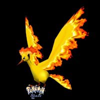 moltres.jpg (30493 bytes)