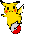 pikaball1.gif (16657 bytes)