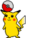 pikaball2.gif (14017 bytes)